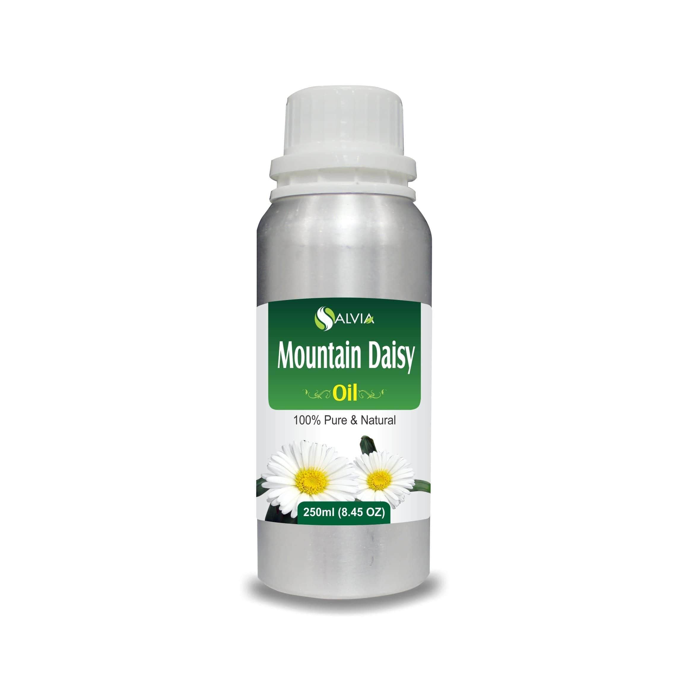 Mountain Daisy Oil